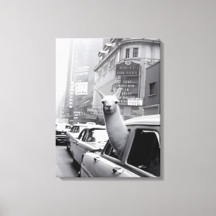 Animal Painting Llama Canvas Wall Art