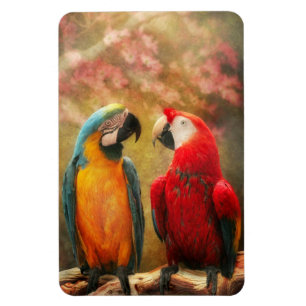 Animal - Parrot - We'll always have parrots Magnet