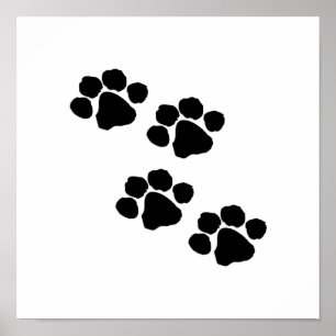 Animal Paw Prints