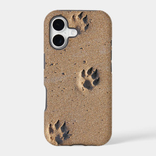Animal paw prints in sand