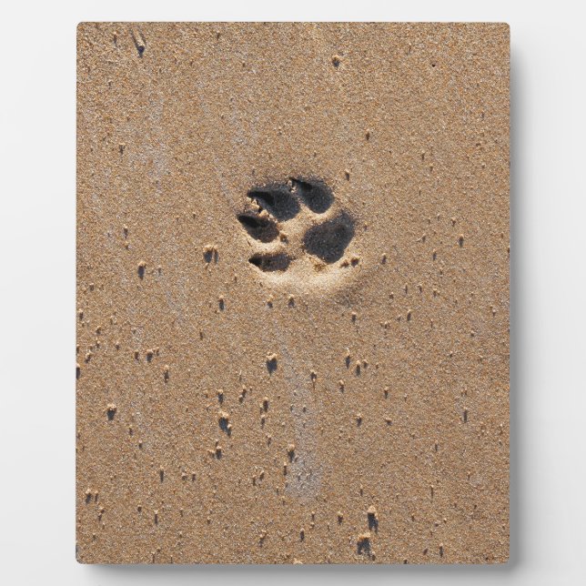 Animal paw prints in sand plaque (Front)