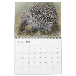 Animal Pets Wildlife Love Destiny Destiny's Calendar