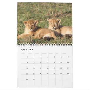 Animal Pets Wildlife Love Destiny Destiny's Calendar