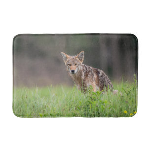 Animal Photography, Brown Coyote Bath Mat