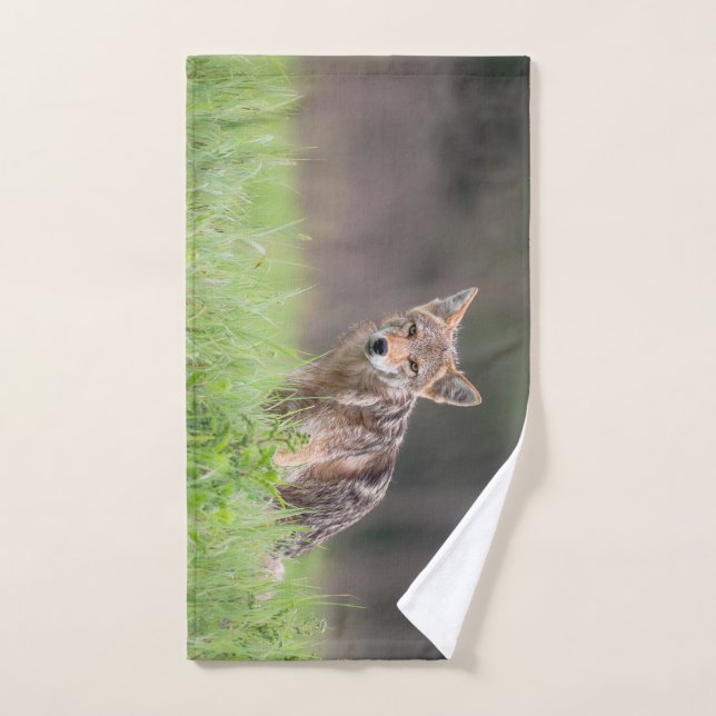 Animal Photography, Brown Coyote Hand Towel (Hand Towel)