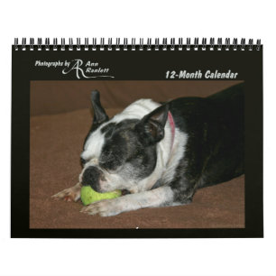 Animal Photos - 12-Month Calendar