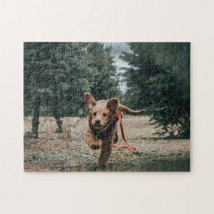 Animal Pic Cute Sad Puppy Puppy Photography Animal Jigsaw Puzzle