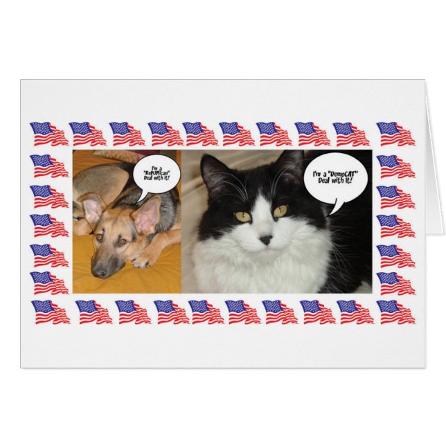 Animal Politics Election 2016 (Front Horizontal)