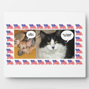 Animal Politics Election 2016 Plaque