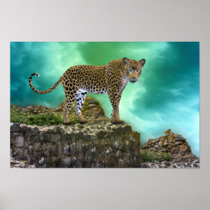 Animal Portrait Wild Cat Poster