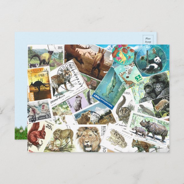 Animal Postage Stamps Postcard (Front/Back)