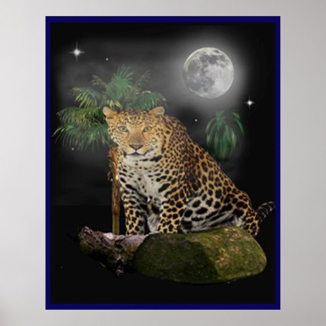 Animal posters (Front)