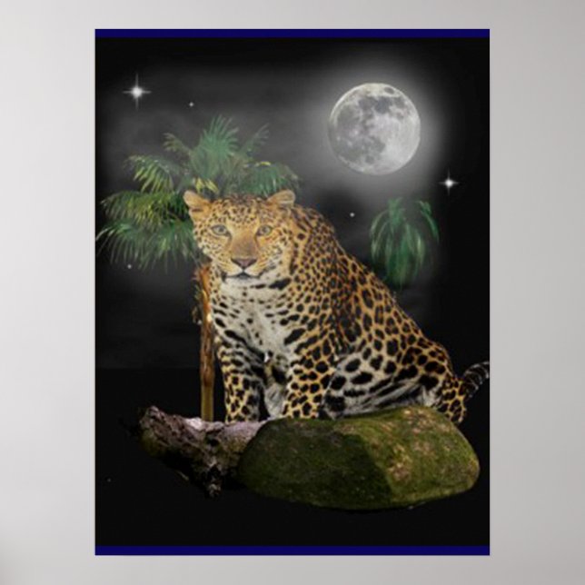 Animal posters (Front)