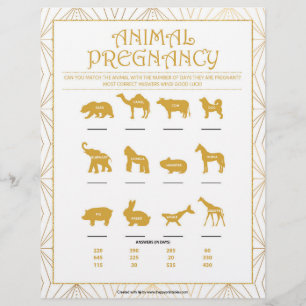 Animal Pregnancy [Golden Lines] Custom Letterhead