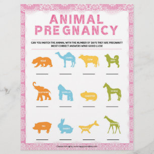 Animal Pregnancy [Luxury Lace [Pink]] Custom Letterhead