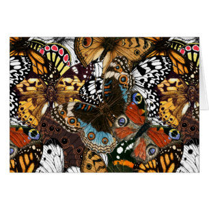 Animal print. Butterfly wings.