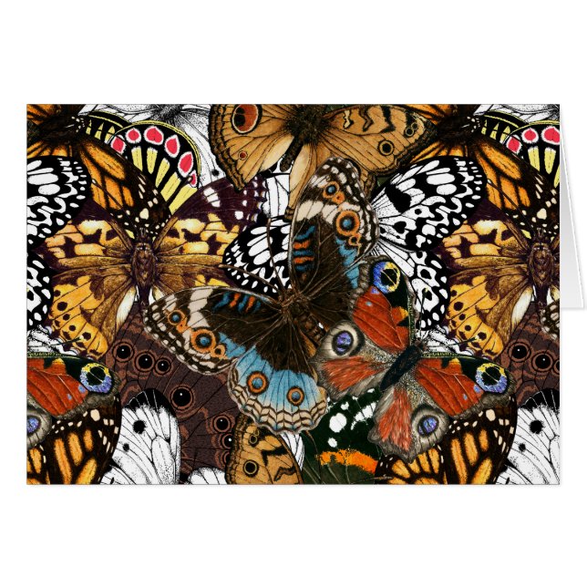 Animal print. Butterfly wings. (Front Horizontal)