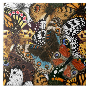 Animal print. Butterfly wings. Ceramic Tile
