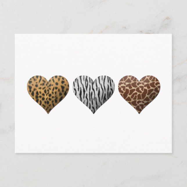 Animal Print Hearts Postcard (Front)