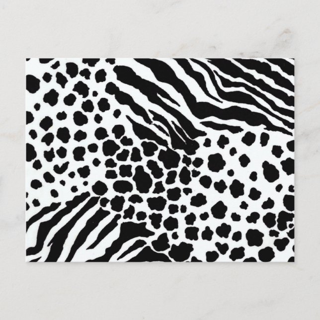 Animal Print Postcard (Front)