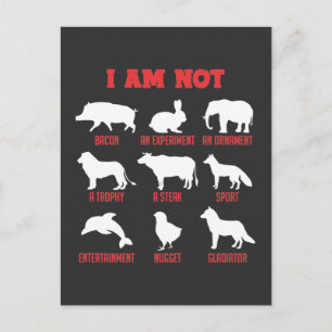 Animal Protection Vegan Statement Animals Welfare Postcard