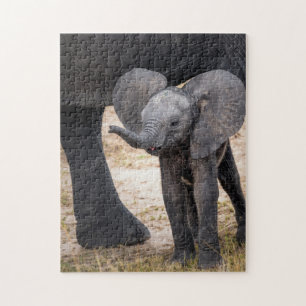 Animal Puzzles Mother and Baby Animal Elephant Pho