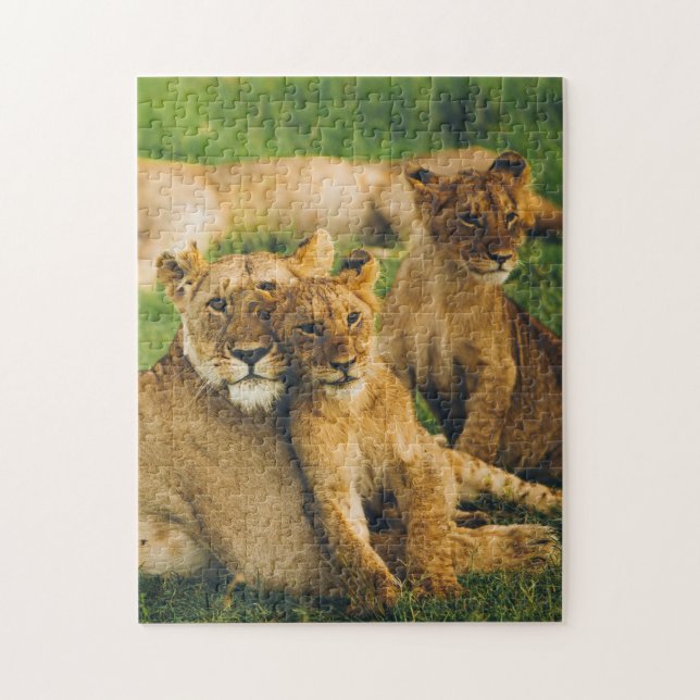 Animal Puzzles Mother and Baby Animal Lion Photogr (Vertical)