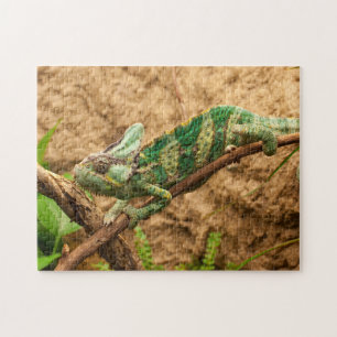 Animal Puzzles One Animal Puzzles Lizard Puzzles
