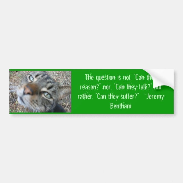 Animal quotes - from Jeremy Bentham bumper sticker (Front)