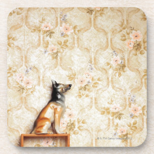 Animal representation,novelty item,shelf,knick coaster
