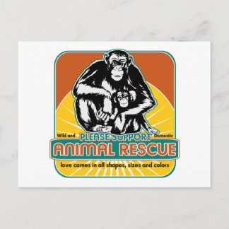 Animal Rescue Chimpanzee Postcard