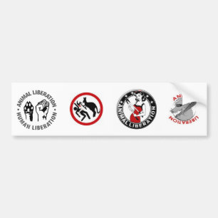 Animal Rights (4 in 1) Bumper Sticker