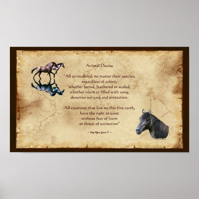Animal Rights Poem & Spanish Mustangs Art Poster (Front)