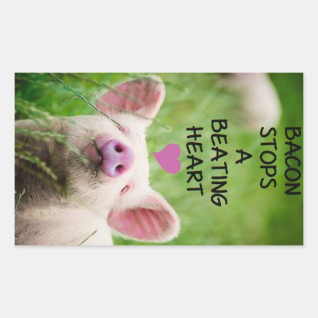 Animal rights sticker. rectangular sticker (Front)