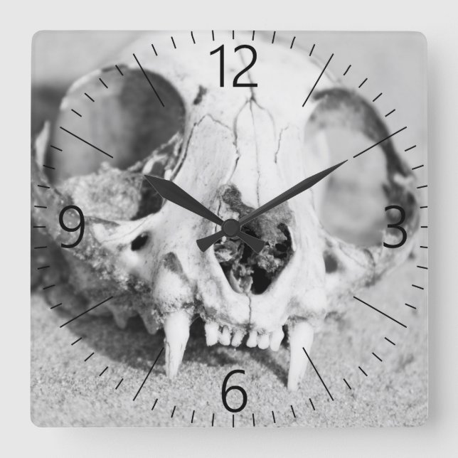 Animal’s skull square wall clock (Front)