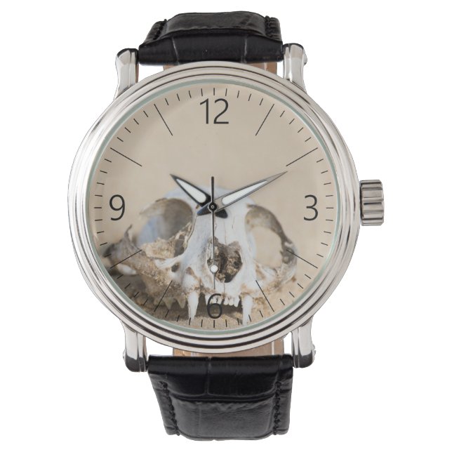 Animal’s skull watch (Front)