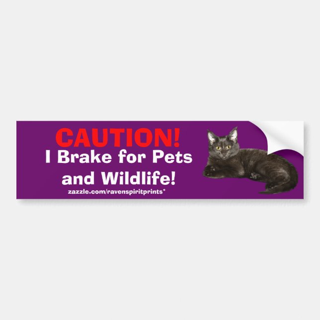 ANIMAL SAFETY Bumper Sticker Collection (Front)