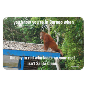 Animal Santa Claus  Borneo Christmas Jokes Premium Magnet