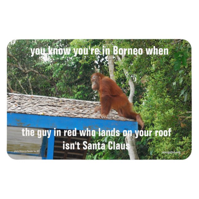 Animal Santa Claus  Borneo Christmas Jokes Premium Magnet (Horizontal)