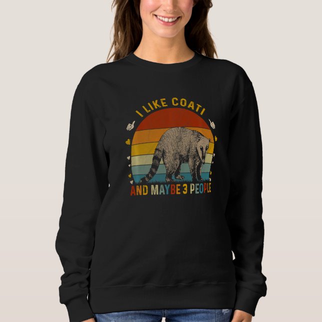 Animal  Sarcastic I Like Coati And Maybe 3 People Sweatshirt (Front)