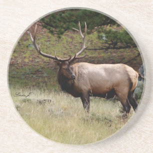 Animal Series---Elk in the Wild Coaster