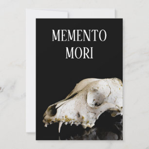 Animal skull