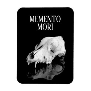 Animal skull magnet