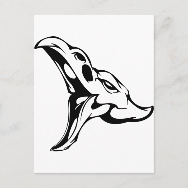 Animal Skull Postcard (Front)