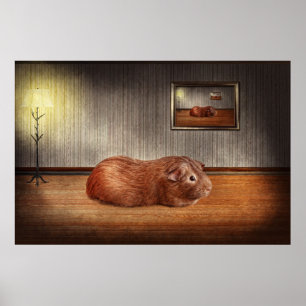 Animal - The guinea pig Poster