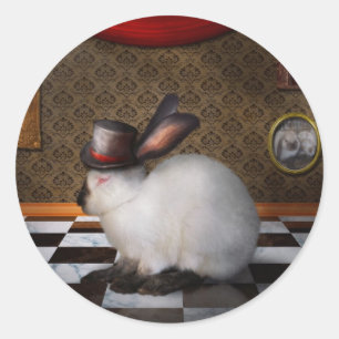 Animal - The Rabbit - Reverse version Classic Round Sticker