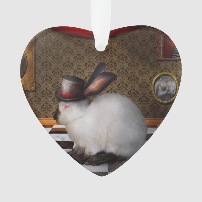 Animal - The Rabbit - Reverse version Ornament (Front)