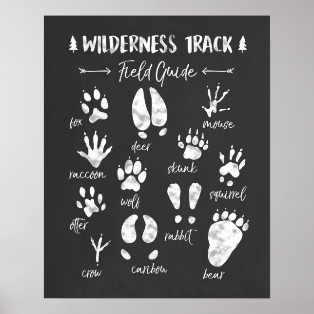 Animal Track nursery print Woodland Nursery (Front)