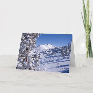 Animal Tracks Card