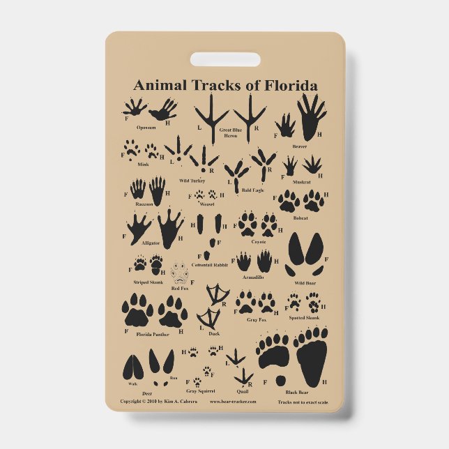 Animal Tracks of Florida ID Badge (Front)